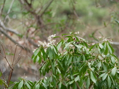 P1370067