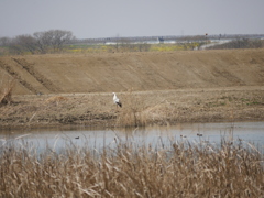 P1370653