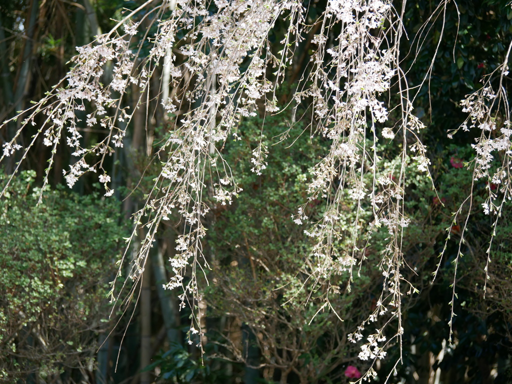 P1370726