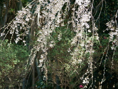 P1370726