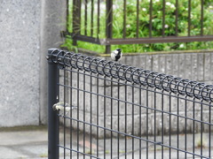 DSCN0114