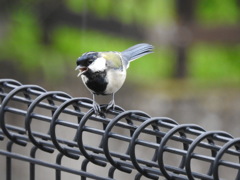 DSCN0099