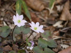 P1370062