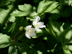 P1370721