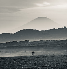 Mt. Fuji