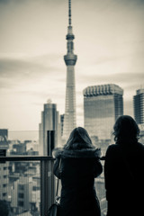 Sky tree