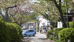 鎌倉