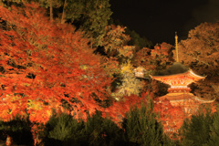 勝尾寺 紅葉