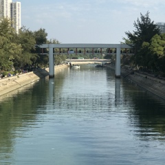 橋