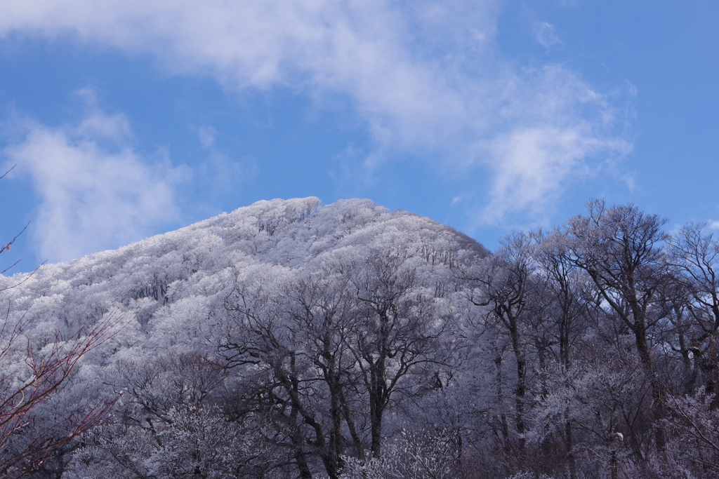雪の矢筈ケ山