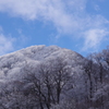 雪の矢筈ケ山