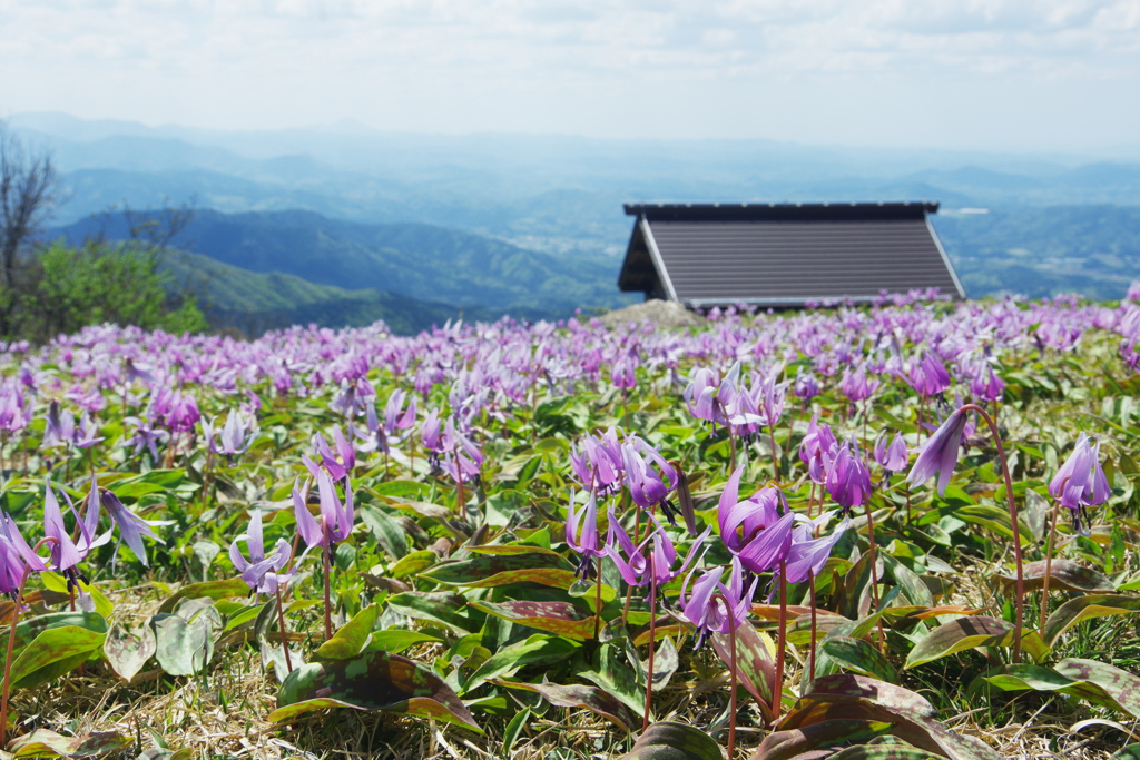 船通山山頂