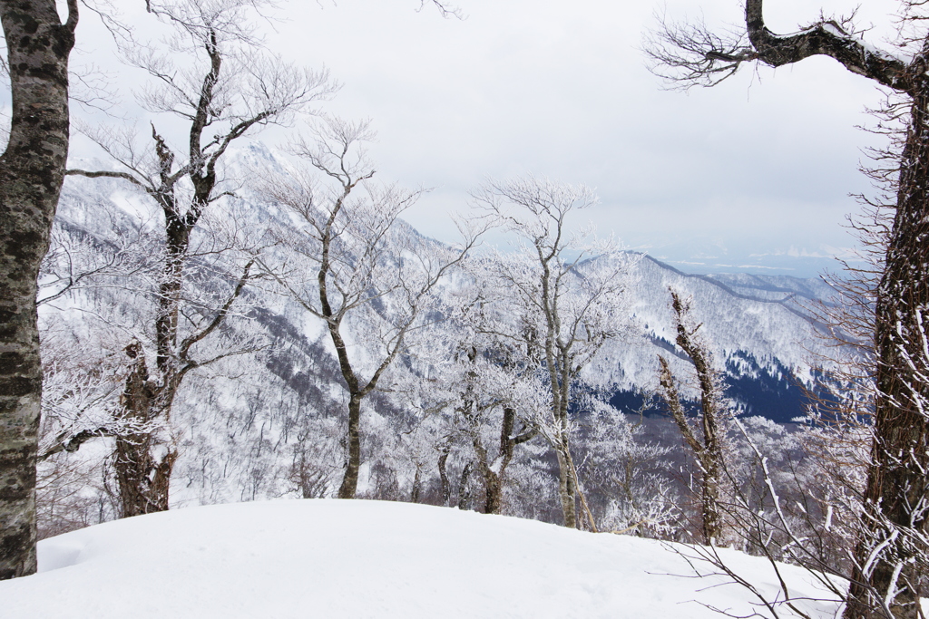 いざ、キリン峠