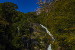 Waterfall in Spring