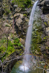 ４月滝巡り５　恵比須滝