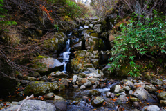 紅葉シーズン滝巡り２  涼風の滝