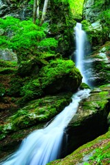 大除沢不動滝(埼玉県秩父市大滝)