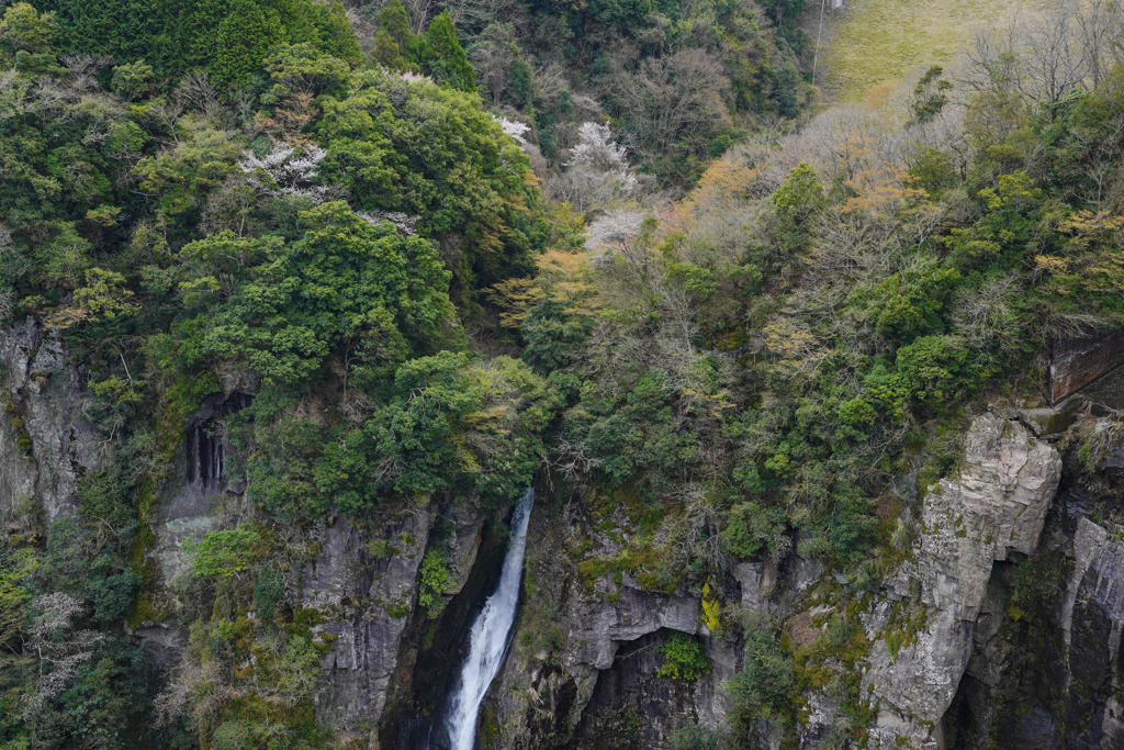 西椎屋の滝２