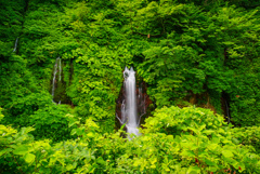 鼻の滝１