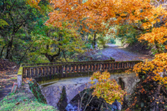 県内で紅葉狩り７　岩野の石橋
