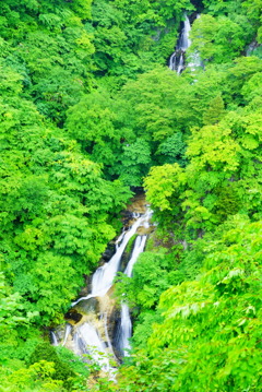 霧降の滝