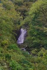 秋の滝旅８　いすすくらの滝