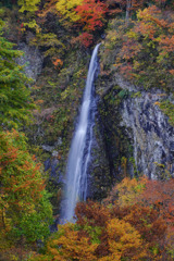 鶴岡滝巡り１　米の粉の滝
