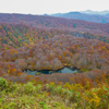 鳥海山近辺で秋探し２
