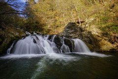 中野白滝　雌滝