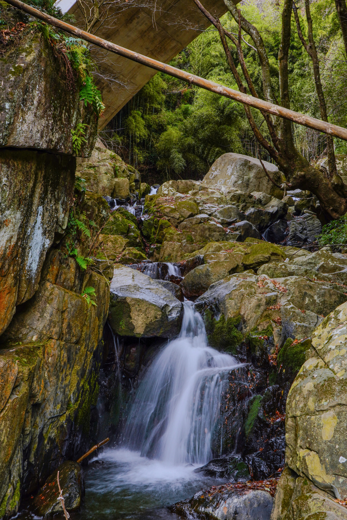 百々目木の滝１