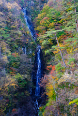 11月滝巡り９  川原湯不動滝