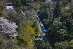 Waterfall in Spring