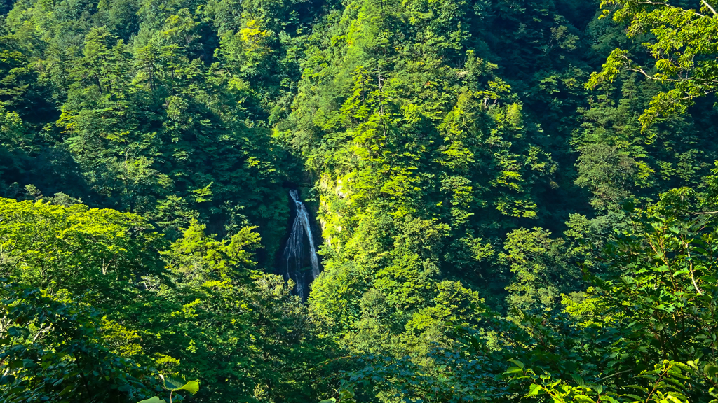 四の滝(山形県鶴岡市)
