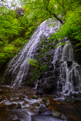 福井旅行  龍双ヶ滝