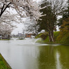 最上公園１