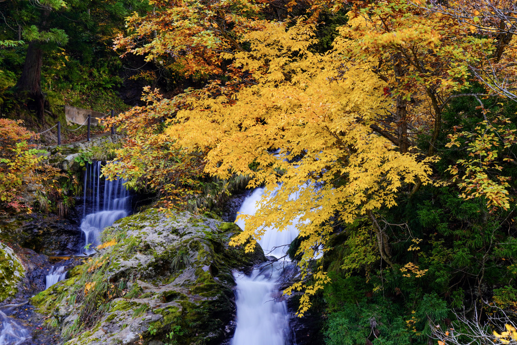 紅葉の銀山温泉３