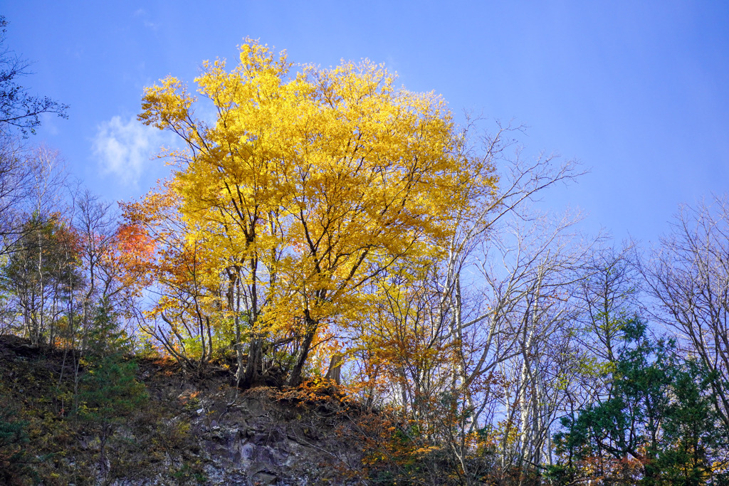 滑川大滝６
