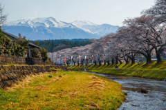 フラッと北上１　中山河川公園
