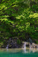 秋田散歩２　根子の滝