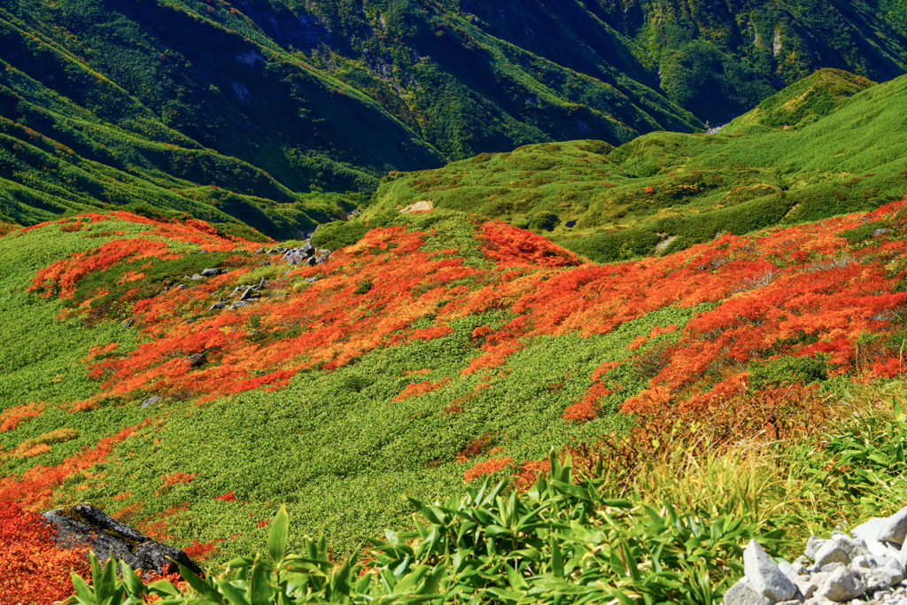 月山１９
