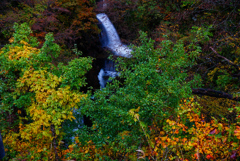 11月滝巡り１  大源太四十八滝