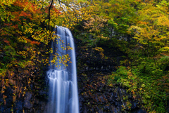 紅葉の玉簾の滝１
