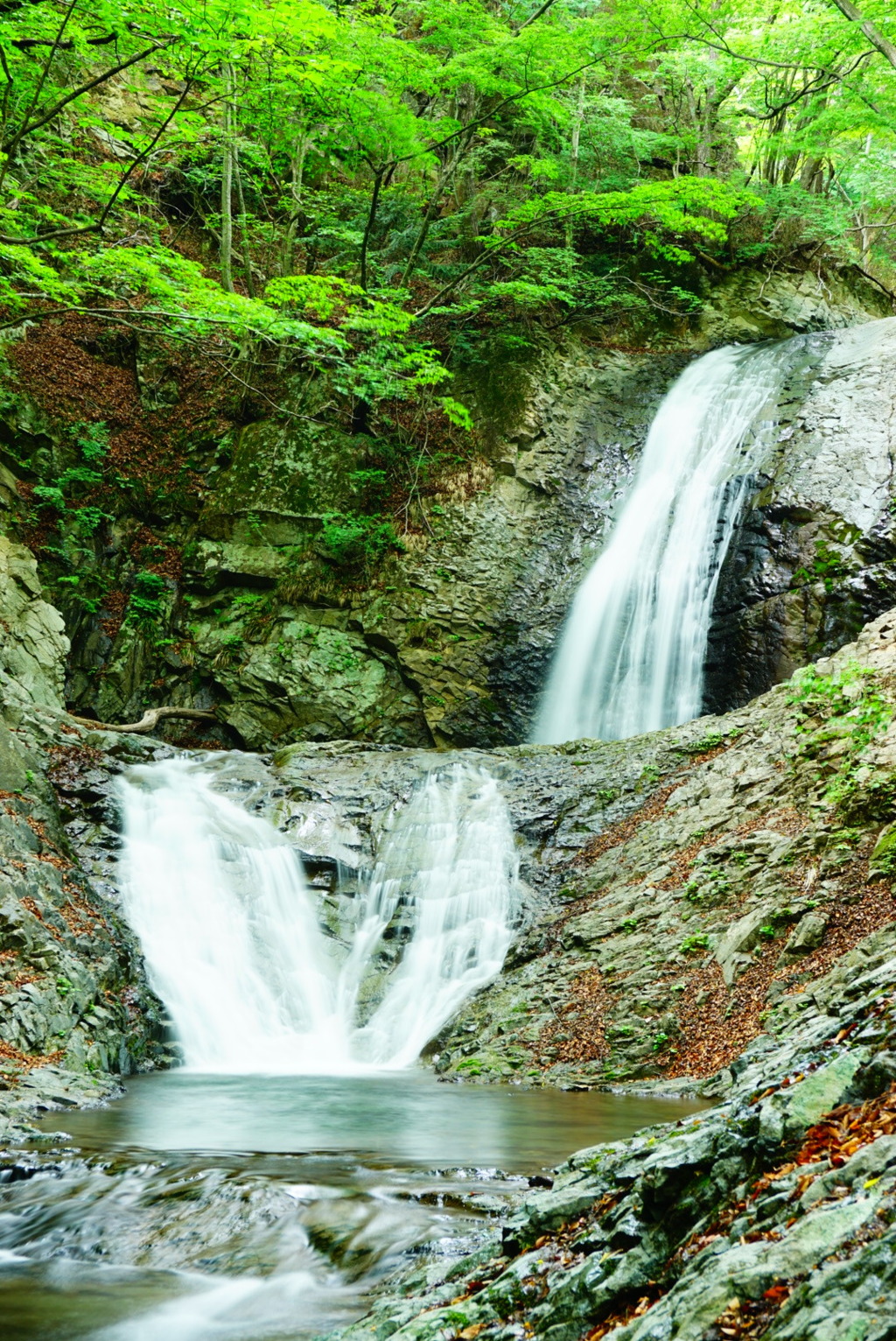 太閤下ろしの滝(日光市)