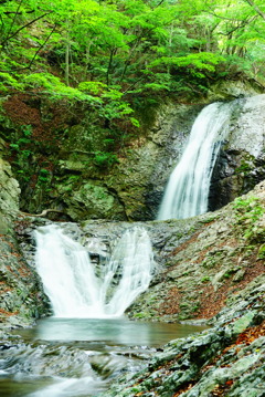 太閤下ろしの滝(日光市)