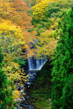 亀田不動滝(秋田県)