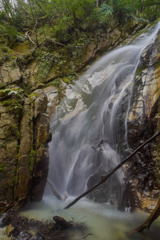 ４月滝巡り15　神爾の滝