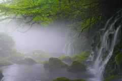 元滝伏流水４