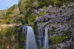 Waterfall in Spring