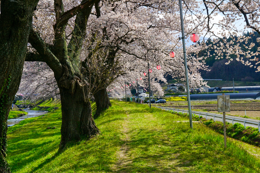 中山河川公園３