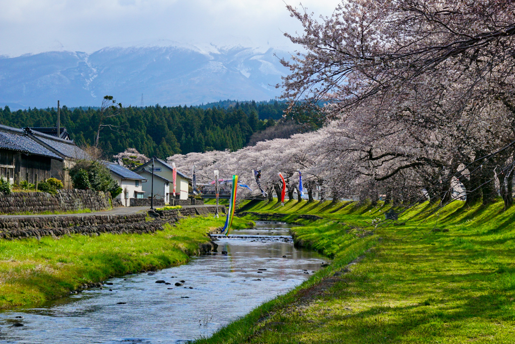 中山河川公園